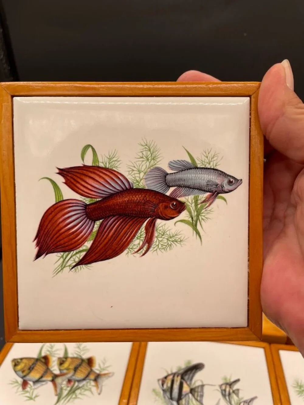 Set Of 6 Ceramic Tiles Wood Frame Tropical Fish Decals Coasters Trivets Aquatic
